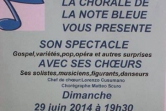 Spectacle de la Note Bleue